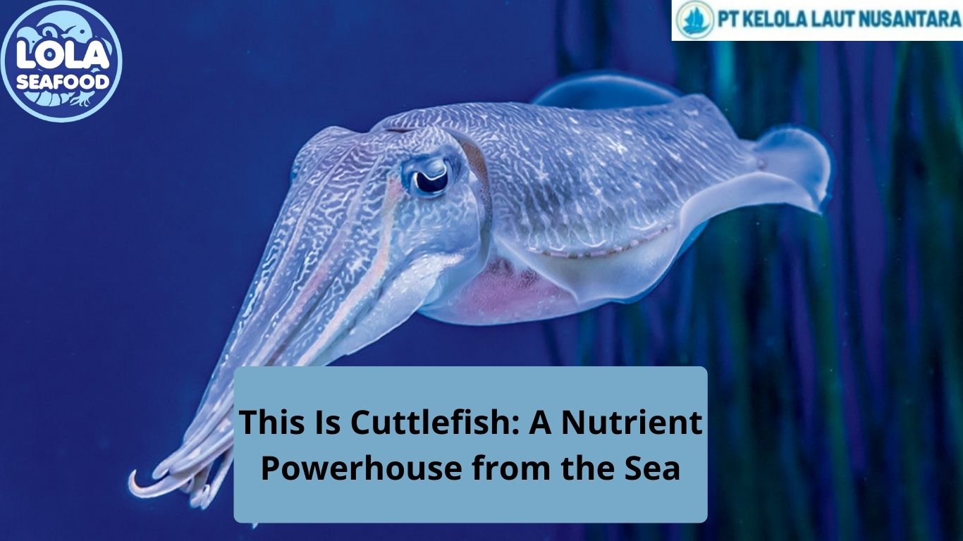 This Is Cuttlefish: A Nutrient Powerhouse from the Sea